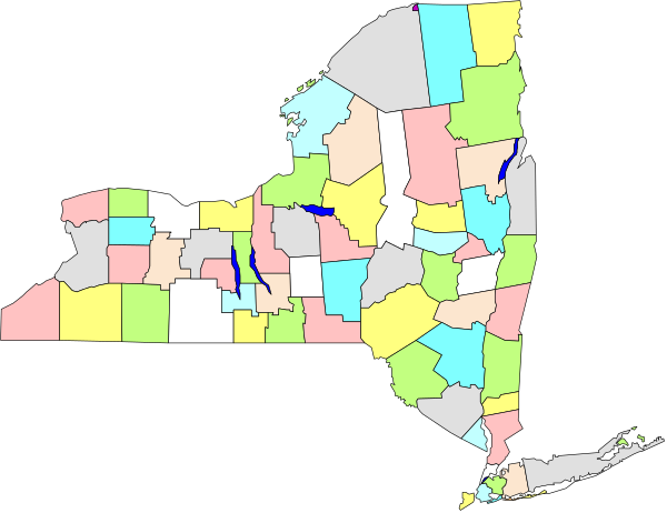 The map shows a stylized representation of New York State with counties colored differently to represent different data sets such as population density, median income, etc., within its borders.
