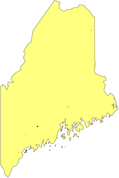 The image shows a stylized map of Maine with an overlay that appears to be some sort of data visualization in yellow on top of it.