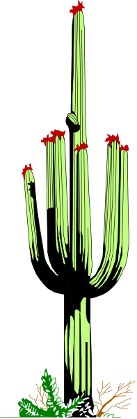 The image shows a pixelated cactus with red flowers on top against a gray background.