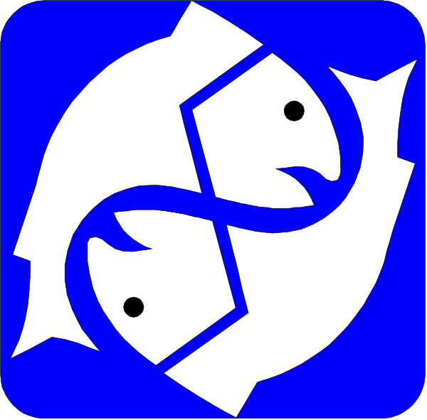 The image shows two blue fish with a white swirl between them against a light background on top left corner of another square that has an icon resembling a stylized human figure in profile facing right side, also colored blue and set within a darker circle or oval shape at the bottom center.