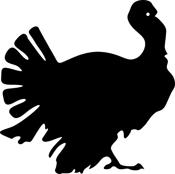 The black background of a night sky with two white stars visible at different heights above each other.