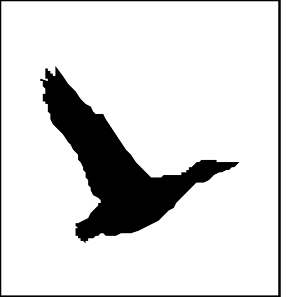 The image shows a black silhouette of an animal that appears to be flying against two white rectangles with vertical lines on either side.