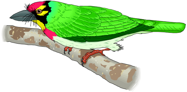 The image shows a colorful parrot perched on top of a tree branch with mossy bark texture against a dark background.