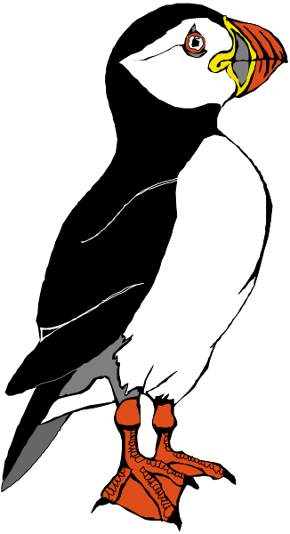The image shows a black and white illustration of an albatross with its wings spread out against a dark background.