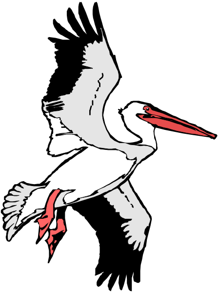The image shows a stylized depiction of an egret with its wings spread out against a black background; it is in flight above what appears to be water.