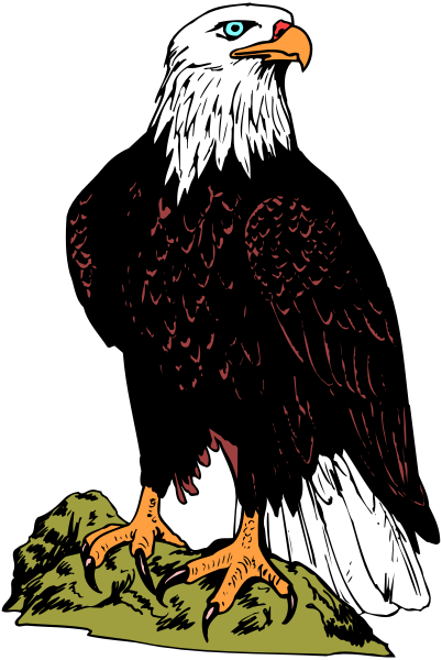 The image shows a colorful illustration of an eagle with its wings spread wide on top of what appears to be a mountainous landscape.