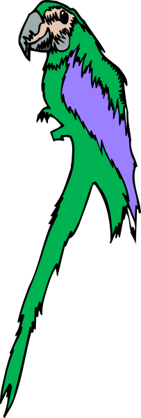 The image shows a colorful parrot with an exaggeratedly long neck standing on what appears to be a black surface against a white background.