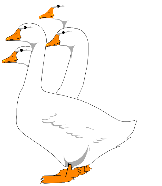 The image shows three white ducks with orange beaks standing next to each other on a black background.