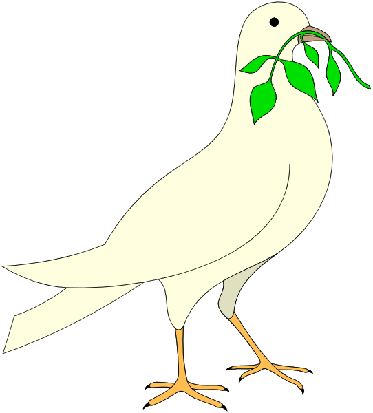 The image shows a white dove with an olive leaf hanging from its beak standing on what appears to be a black background.