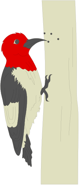 The image shows a red bird with an open beak perched on what appears to be a yellow wall next to a vertical black stripe that divides into two parts at its top end; there is no text present in this clip-art illustration, and it has a cartoonish style.