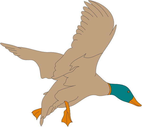 The image shows a cartoon duck flying with its wings spread against a black background.