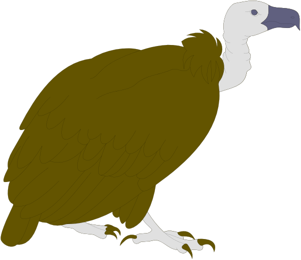 The image shows two birds of prey: a large eagle with its wings spread wide on top left corner against black background; below it is an owl standing upright in front view facing right side of picture.