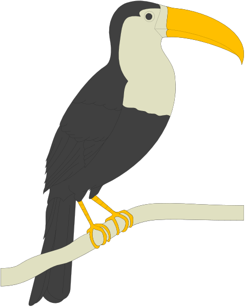 The image shows a cartoon of an African Grey Parrot perched on what appears to be a branch with yellow feet.