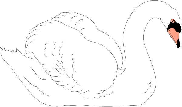 The black and white illustration shows a swan with its neck curved around another bird that appears to be eating from it; both birds have long feathers typical of waterfowl.