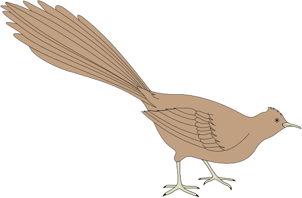 The image shows a cartoon of two birds flying against a black background with white outlines; there is no text present in this clip-art illustration.