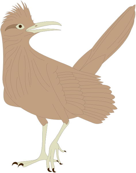 The illustration depicts a bird with brown feathers standing on two legs against a black background.
