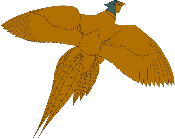 The image shows a stylized illustration of two birds with outstretched wings against a black background; both have detailed feather patterns in shades of brown and gold, suggesting an artistic representation rather than realistic depiction.