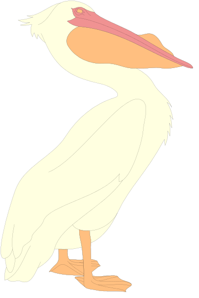 The image shows a cartoon pelican standing upright on two legs with its beak open as if it's speaking in front of an unseen audience against a black background.