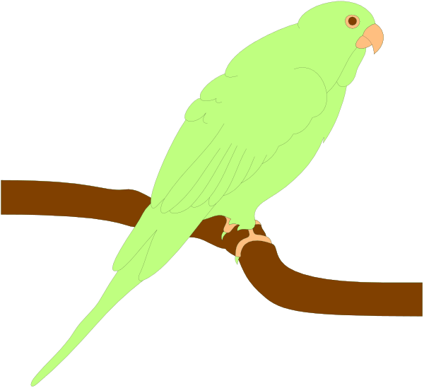 The image shows a green parrot perched on a branch with yellow feathers visible under its wing.