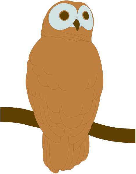 The image shows a cartoon owl perched on a branch with its wings folded neatly at its sides against an indistinct background that does not provide any additional context about location or time of day.