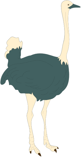 The image shows a cartoon ostrich standing on two legs with its head turned to look at something off-camera.
