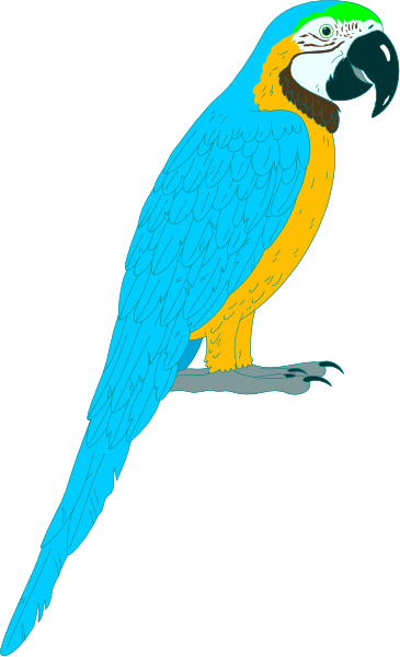 The image shows a colorful parrot with green feathers on its head perched against a black background.