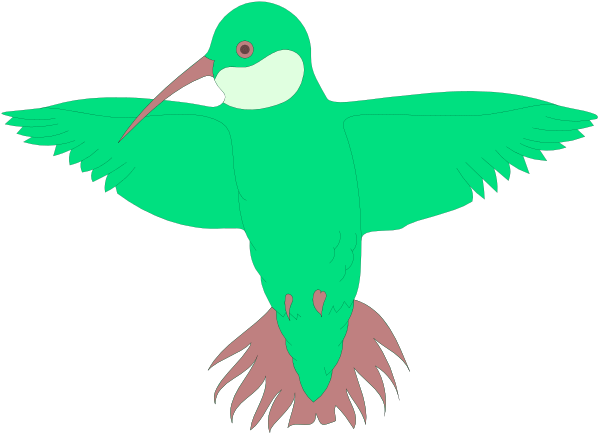 The image shows a green parrot with an open beak flying above two birds that appear to have been shot down from flight; it is set against a black background.
