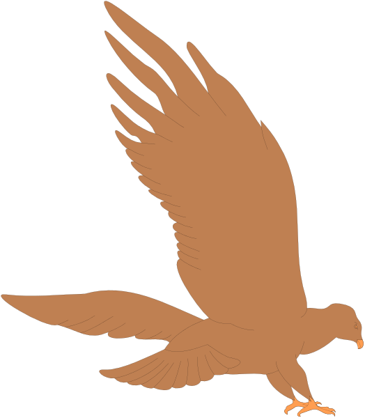 The image shows a stylized illustration of an eagle with its wings spread wide against a dark background.