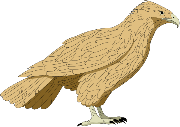 The image shows a cartoon eagle with its wings spread wide against a black background.