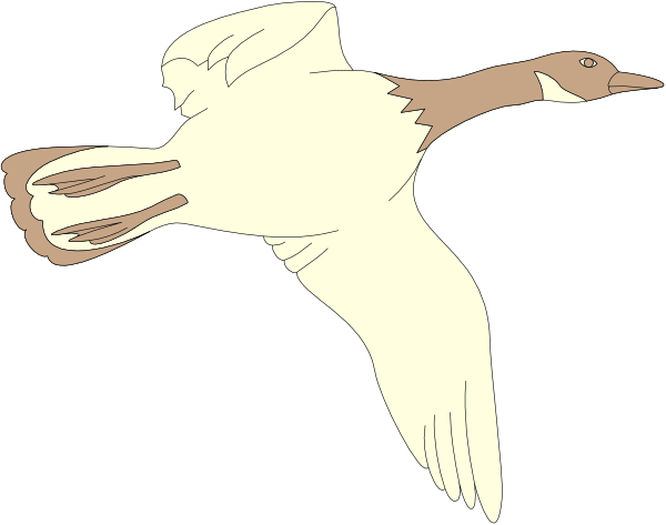 The image shows a cartoon of two birds flying side by side against a black background; both have white feathers with brown markings on their wings and tails, one is larger than the other due to perspective distortion from being closer to viewer's eye level.