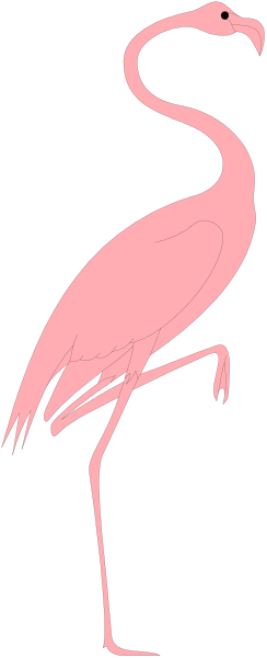 The image shows a pink flamingo standing on top of an unseen surface with its wings spread out against a dark background.