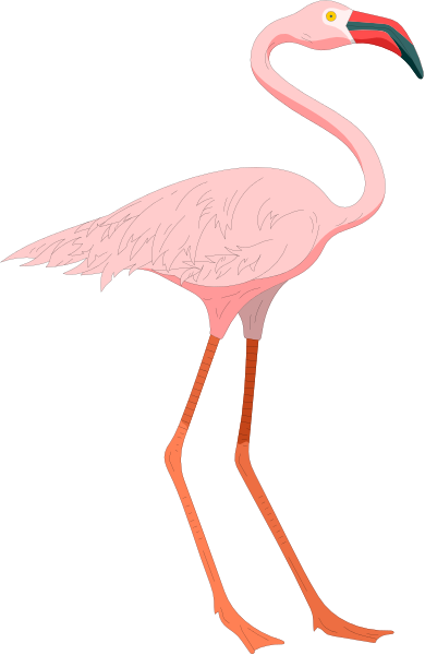 The image shows a pink flamingo standing on two legs with its head turned to look at something off-camera.