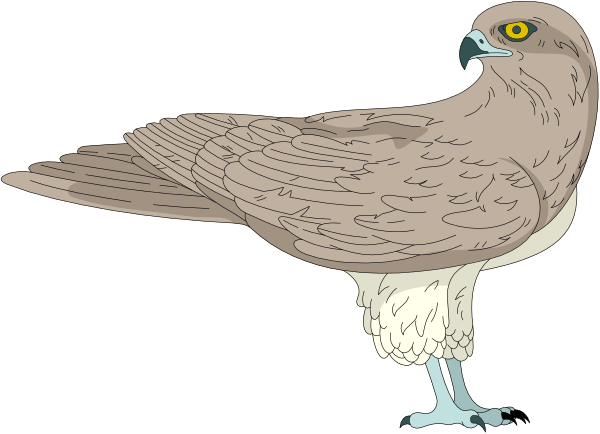The image shows a cartoon of an eagle with its wings spread out against a black background.