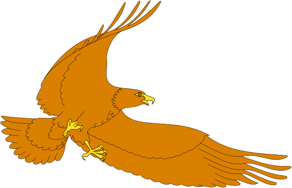 The image shows a stylized depiction of an eagle flying with its wings spread against a black background.