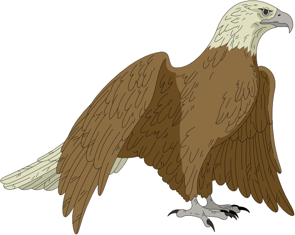 The image shows a cartoon eagle with spread wings standing on two legs against a black background.