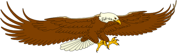 The image shows a stylized eagle with its wings spread out against an indistinct background; it appears to be in mid-flight above some text that is partially obscured by the bird's wingtips, but one can discern "EAGLE" and possibly other words.