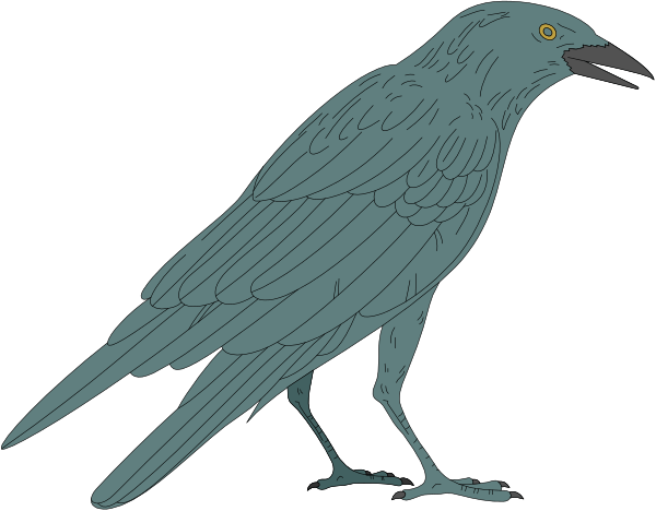 The image shows a cartoon crow standing on its legs with wings spread out against a black background.
