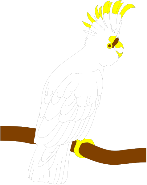 The image shows a white parrot with yellow markings on its head perched on a branch against a black background.