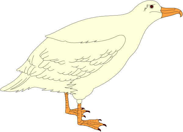 The image shows a seagull standing on an unseen surface with its wings spread wide against a dark background; there is no text present in this clip-art illustration.