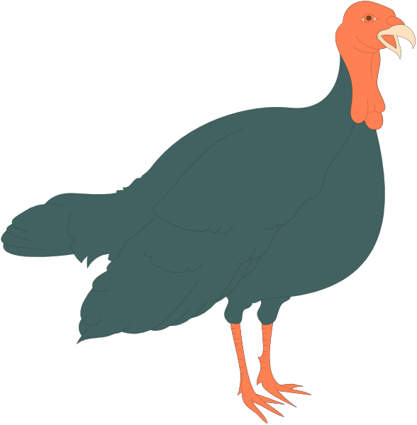 The images show a turkey with its wings spread out against two different backgrounds: black for the left side of image 1 and white for right side of image 2. There is no text present in either picture, focusing solely on the depiction of an animated bird character within each frame.
