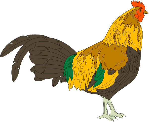 The image shows a cartoon rooster with yellow feathers on its body and brown tailfeather tips standing against a black background.