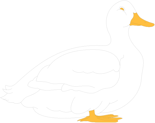 The image shows a white duck with an orange beak sitting on top of water under what appears to be night sky background.