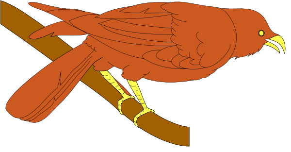 The image shows a red cardinal perched on top of an open book with its wings spread wide as if it's flying off into space.