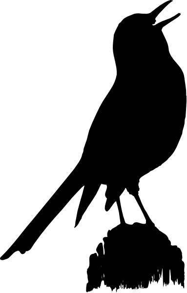 The image shows a black silhouette of an object against various backgrounds with different shades of gray.