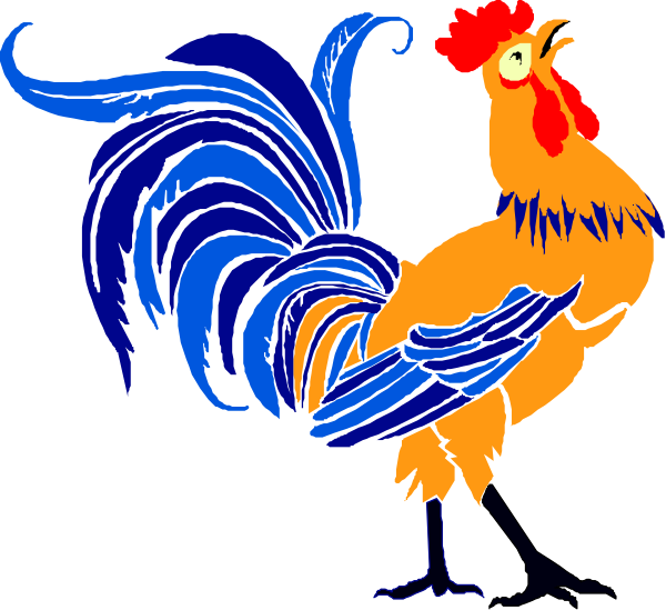 The image shows a cartoon rooster with blue feathers standing on what appears to be grass against a black background.