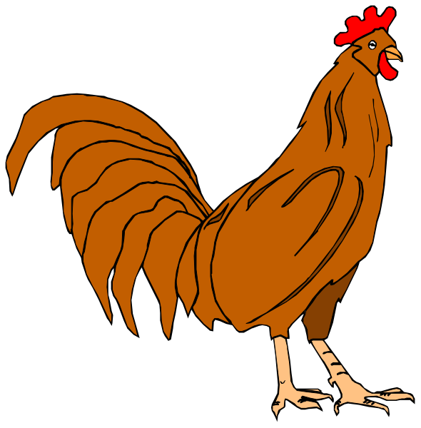 The image shows two illustrations of a rooster against different backgrounds: black for top half and white for bottom half.