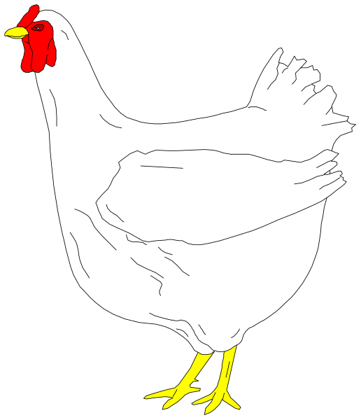 The image shows a cartoon of a white chicken with yellow feet standing on black ground against a gray background.