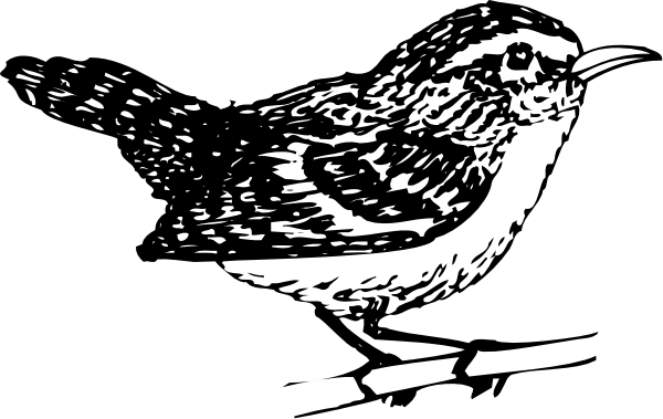 The black and white silhouette of a bird with its wings spread out against an indistinct background.