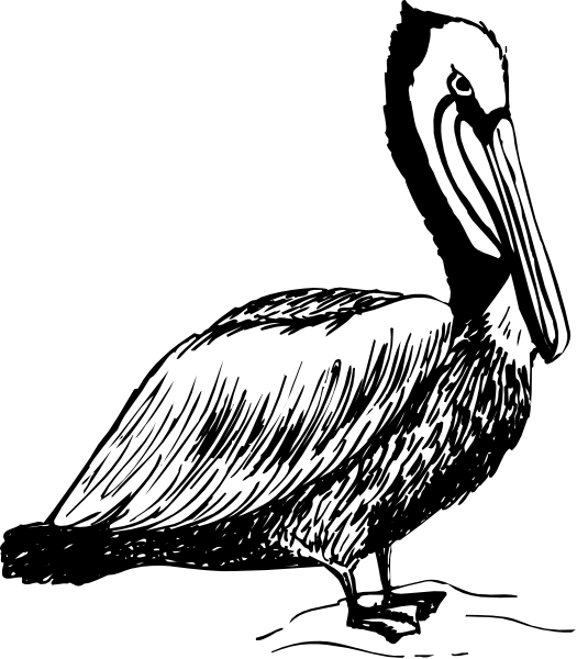 The black and white illustration shows a heron standing on its legs with an open beak near water's edge in what appears to be nighttime.