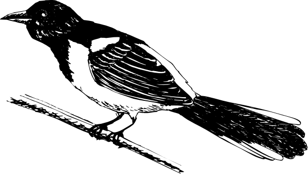 The black and white photo shows a bird's silhouette flying over an abstract landscape with trees on either side of it in flight against a dark sky background.